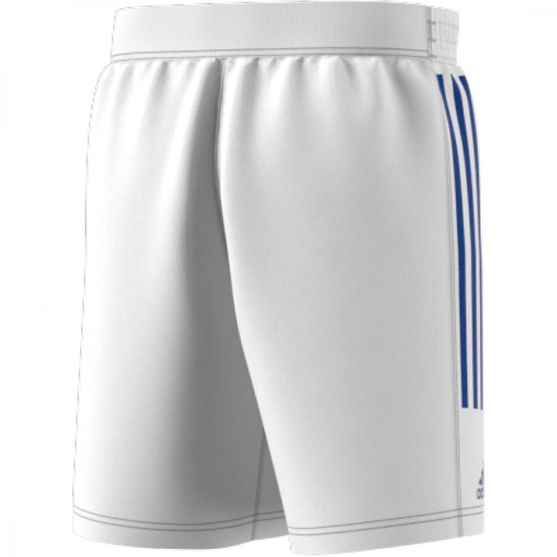Team shorts from France Handball 2021