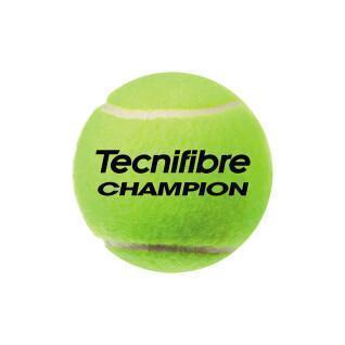 Tennis ball Tecnifibre 60CHAM364N