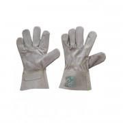Payper Gloves 180